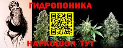 альфа пвп Кингисепп