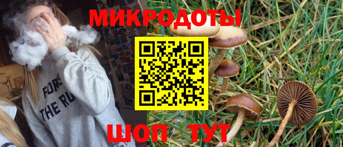 Псилоцибиновые грибы прущие грибы  Галлюциногенные грибы Cubensis  Киров  Вход с VPN 