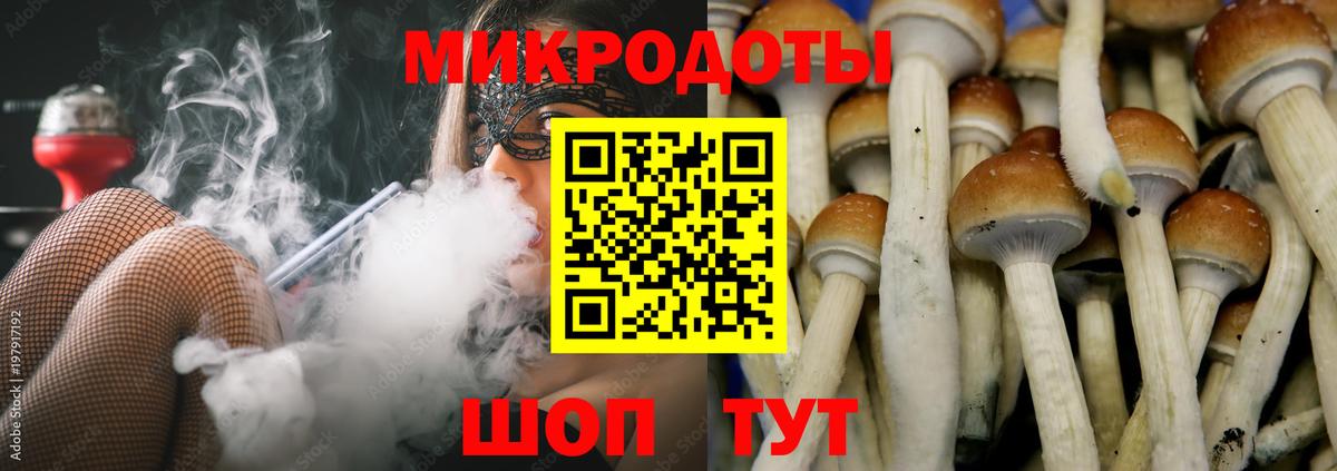 Галлюциногенные грибы Magic Shrooms Киров