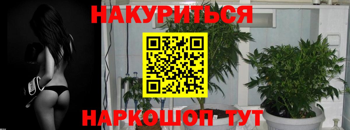 Конопля планчик  Вход с VPN  Киров  Марихуана план  Канабис LSD WEED 